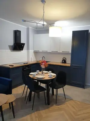 Kuchnia lub aneks kuchenny w obiekcie Modern Apartment