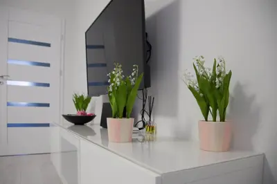 Telewizja i/lub zestaw kina domowego w obiekcie Apartament Wrocław Borowska