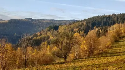 Przyroda w pobliżu tego apartamentu