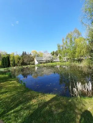 Przyroda w pobliżu tego domu wakacyjnego
