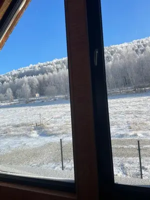 Przyroda w pobliżu tego domu wakacyjnego