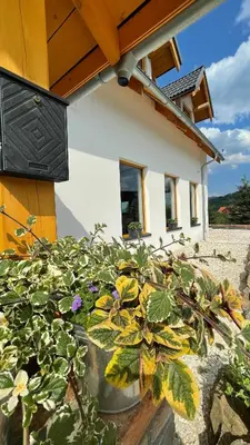 Ogród w obiekcie Miodówka