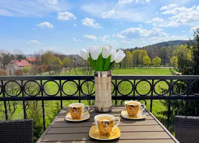 Balkon lub taras w obiekcie Apartament Daisy
