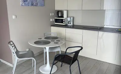 Kuchnia lub aneks kuchenny w obiekcie Apartament Tignes Czarna Góra