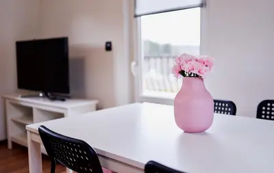 Telewizja i/lub zestaw kina domowego w obiekcie Domki Nad Stawami Apartament