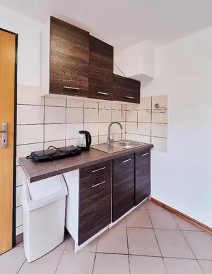 Kuchnia lub aneks kuchenny w obiekcie Domki Nad Stawami Apartament