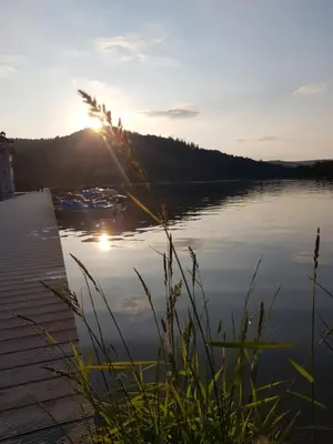 Przyroda w pobliżu tego domu wakacyjnego