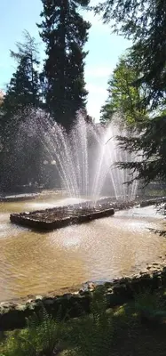 Przyroda w pobliżu tego apartamentu