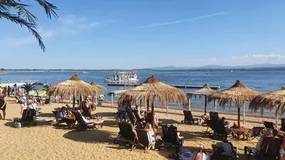 Przyroda w pobliżu tego domu w stylu alpejskim