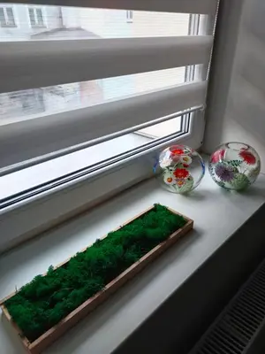 Jedzenie w apartamencie lub w pobliżu