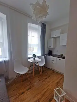 Kuchnia lub aneks kuchenny w obiekcie Green Apartment Szczawno Zdrój
