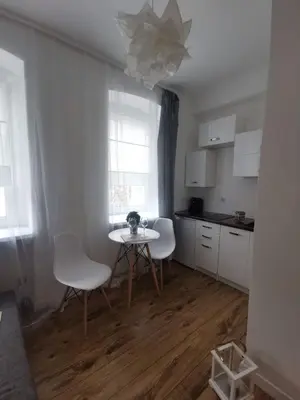 Kuchnia lub aneks kuchenny w obiekcie Green Apartment Szczawno Zdrój