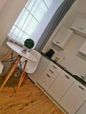 Kuchnia lub aneks kuchenny w obiekcie Green Apartment Szczawno Zdrój