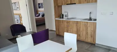 Kuchnia lub aneks kuchenny w obiekcie Aparthotel Apartamenty Czarna Góra 234
