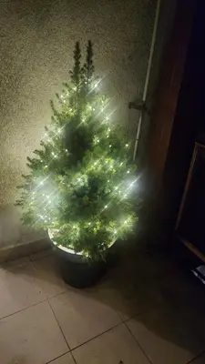 Plan piętra w obiekcie Sudety Canna House