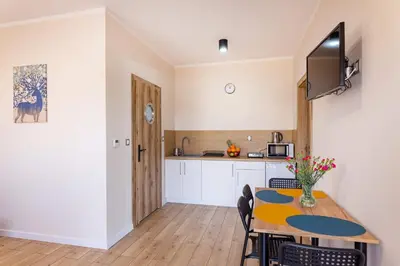Kuchnia lub aneks kuchenny w obiekcie Apartamenty Stołowe