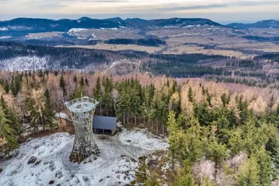 Przyroda w pobliżu tego apartamentu