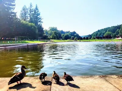 Przyroda w pobliżu tego domu wakacyjnego