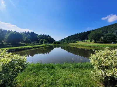 Przyroda w pobliżu tego domu wakacyjnego