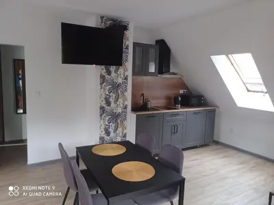 Kuchnia lub aneks kuchenny w obiekcie Apartamenty Brzozowe Zacisze