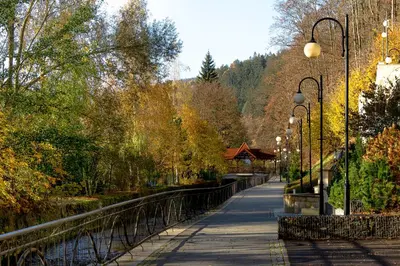 Przyroda w pobliżu tego apartamentu