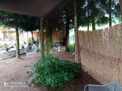 Ogród w obiekcie Apartamenty Sowianka
