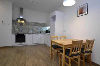 Kuchnia lub aneks kuchenny w obiekcie Apartament SZMARAGDOWY z garażem Centrum Gliwic-Klimatyzacja