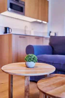 Kuchnia lub aneks kuchenny w obiekcie Marel-Apartment dwupoziomowy 24 Willa Leśna Polanica Zdrój