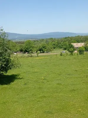 Przyroda w pobliżu tego domu wakacyjnego