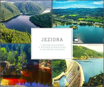 Przyroda w pobliżu tego apartamentu