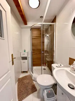 Łazienka w obiekcie Klimatyczne apartamenty z widokiem na góry Sowie