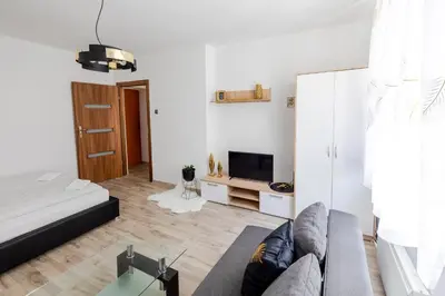 Telewizja i/lub zestaw kina domowego w obiekcie Gold Vision Apartment