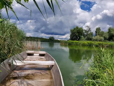 Przyroda w pobliżu tego domu wakacyjnego