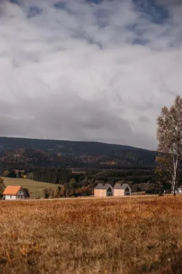 Przyroda w pobliżu tego domu w stylu alpejskim