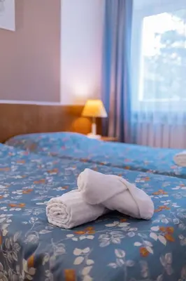 Łóżko lub łóżka w pokoju w obiekcie Geovita Lądek Zdrój