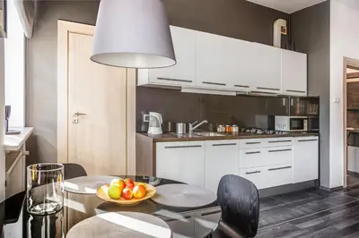 Kuchnia lub aneks kuchenny w obiekcie Stylowy apartament w najlepszej lokalizacji