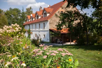 Ogród w obiekcie Villa Greta