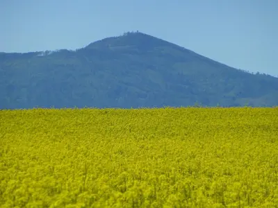 Widok na góry z tego domu w stylu alpejskim