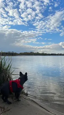 Plan piętra w obiekcie Casas de la Playa