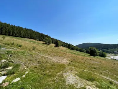 Przyroda w pobliżu tego apartamentu