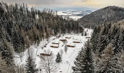 Przyroda w pobliżu tego domu w stylu alpejskim
