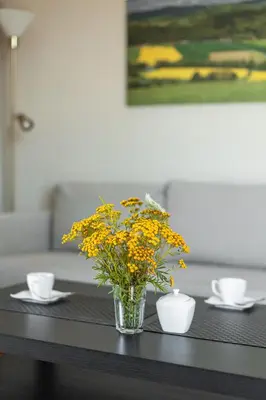 Plan piętra w obiekcie Apartament Widokowy - Penthouse z tarasem