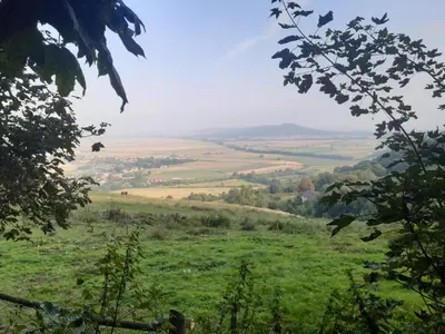Przyroda w pobliżu tego pensjonatu