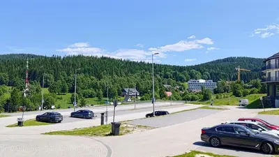Przyroda w pobliżu tego apartamentu
