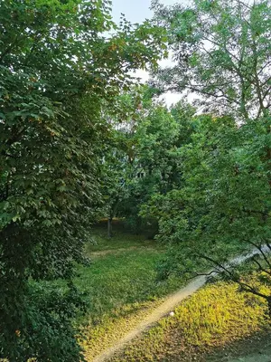 Przyroda w pobliżu tego apartamentu