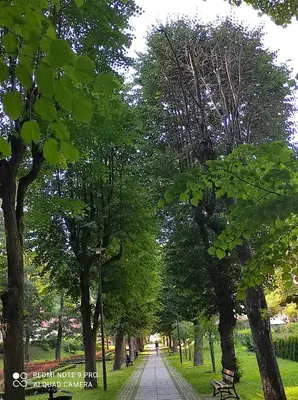 Ogród w obiekcie Apartament GRACJA w Jedlinie Zdrój
