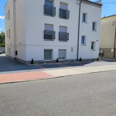 Paloma9