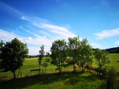 Przyroda w pobliżu tego gospodarstwa agroturystycznego
