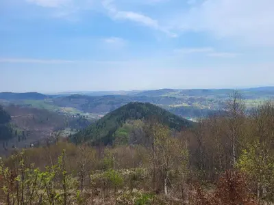 Przyroda w pobliżu tego apartamentu