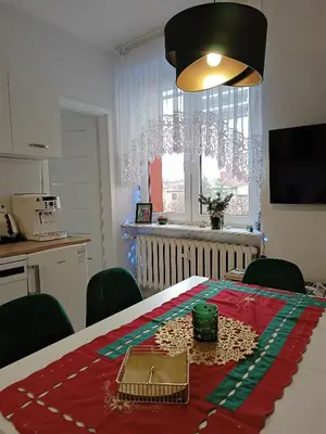 Kuchnia lub aneks kuchenny w obiekcie Szmaragdowy apartament przy ulicy Opolskiej
